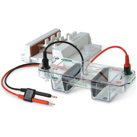 電泳儀：伯樂，天能